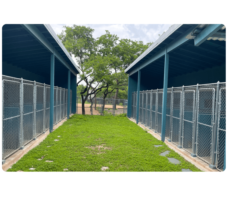 Aboutus Northwest Pet Hospital