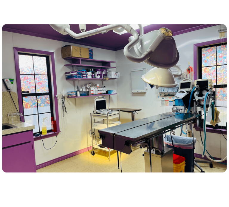 Aboutus Northwest Pet Hospital